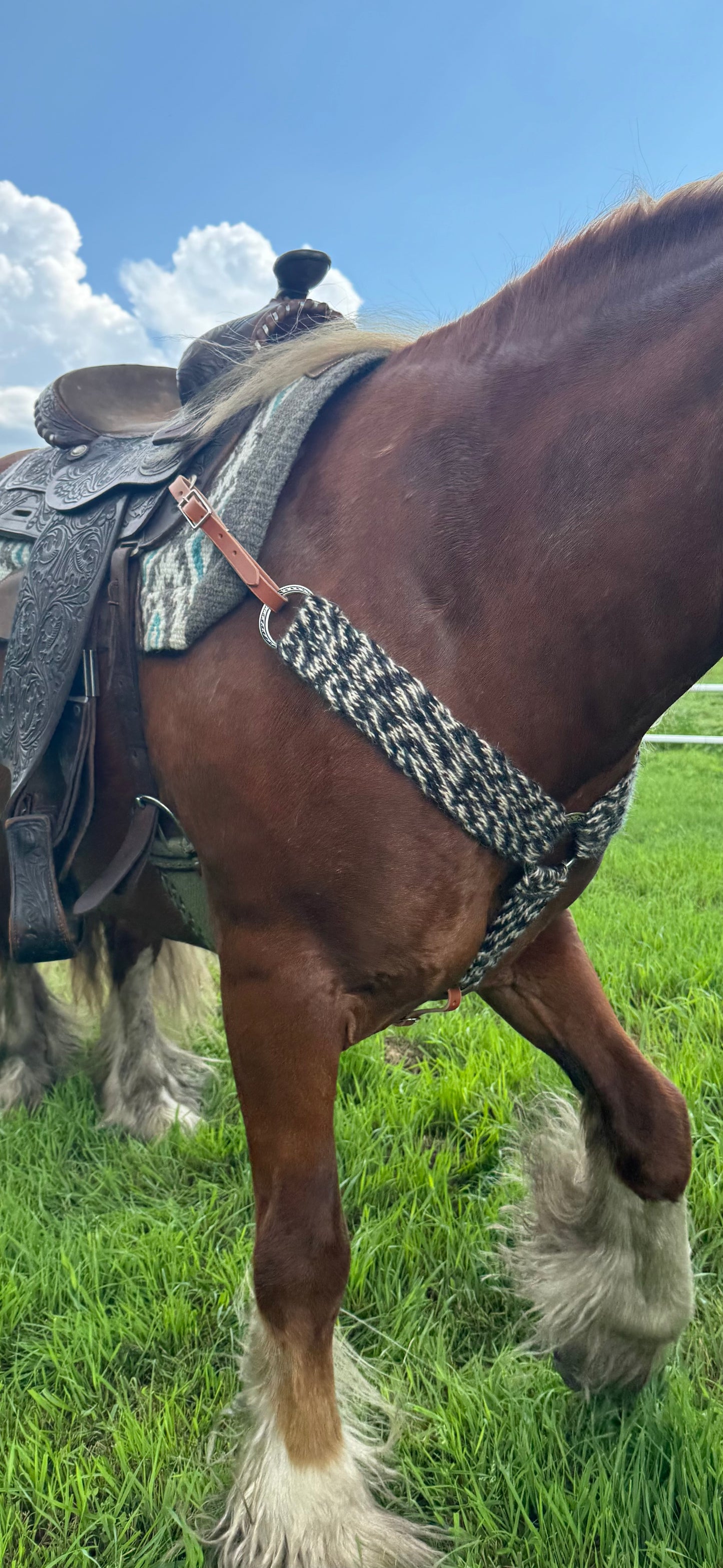 Woven Breast Collar