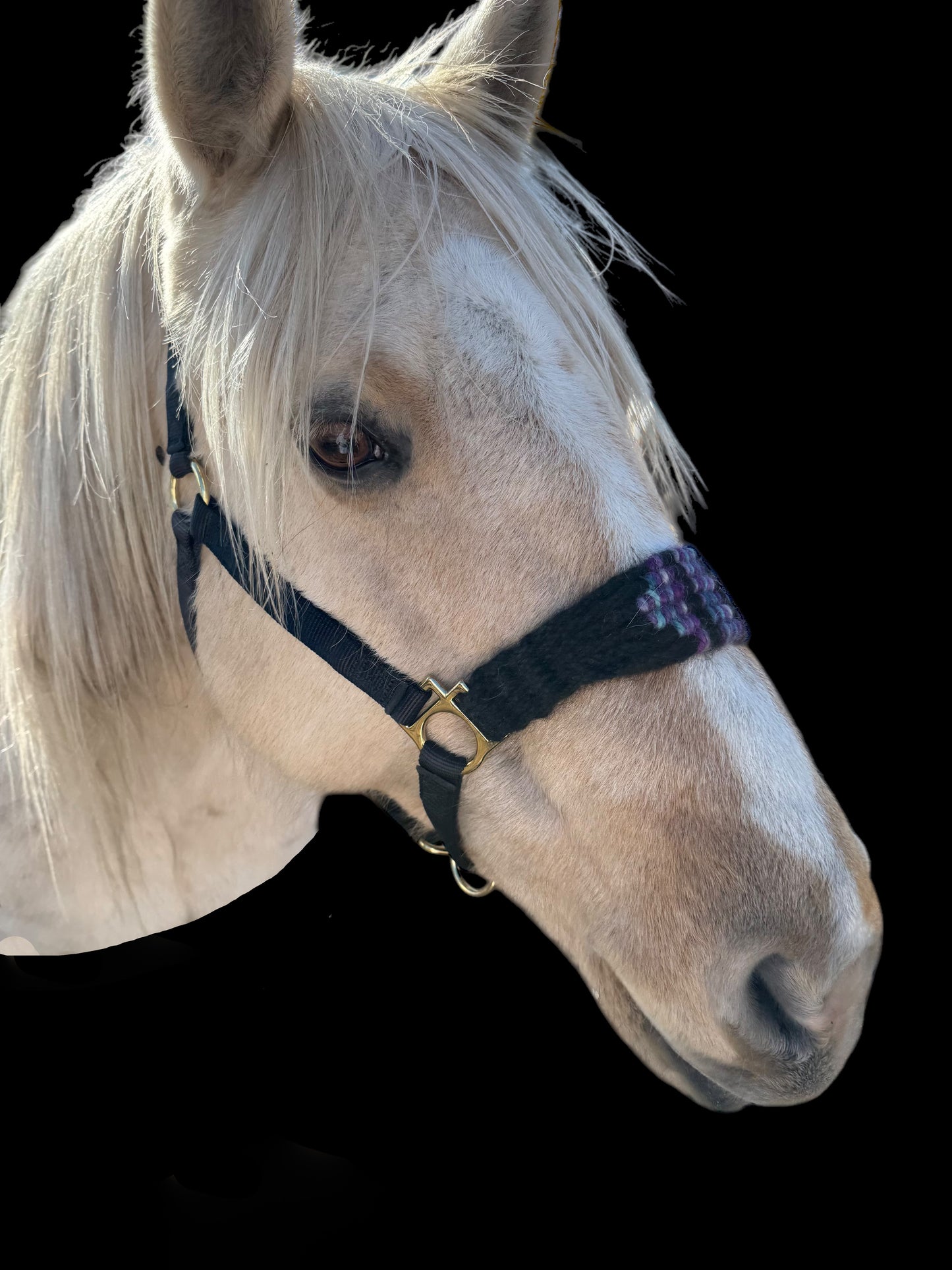 Mohair Halter