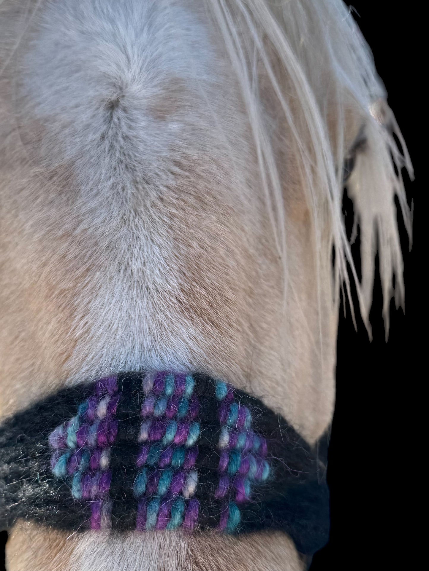 Mohair Halter