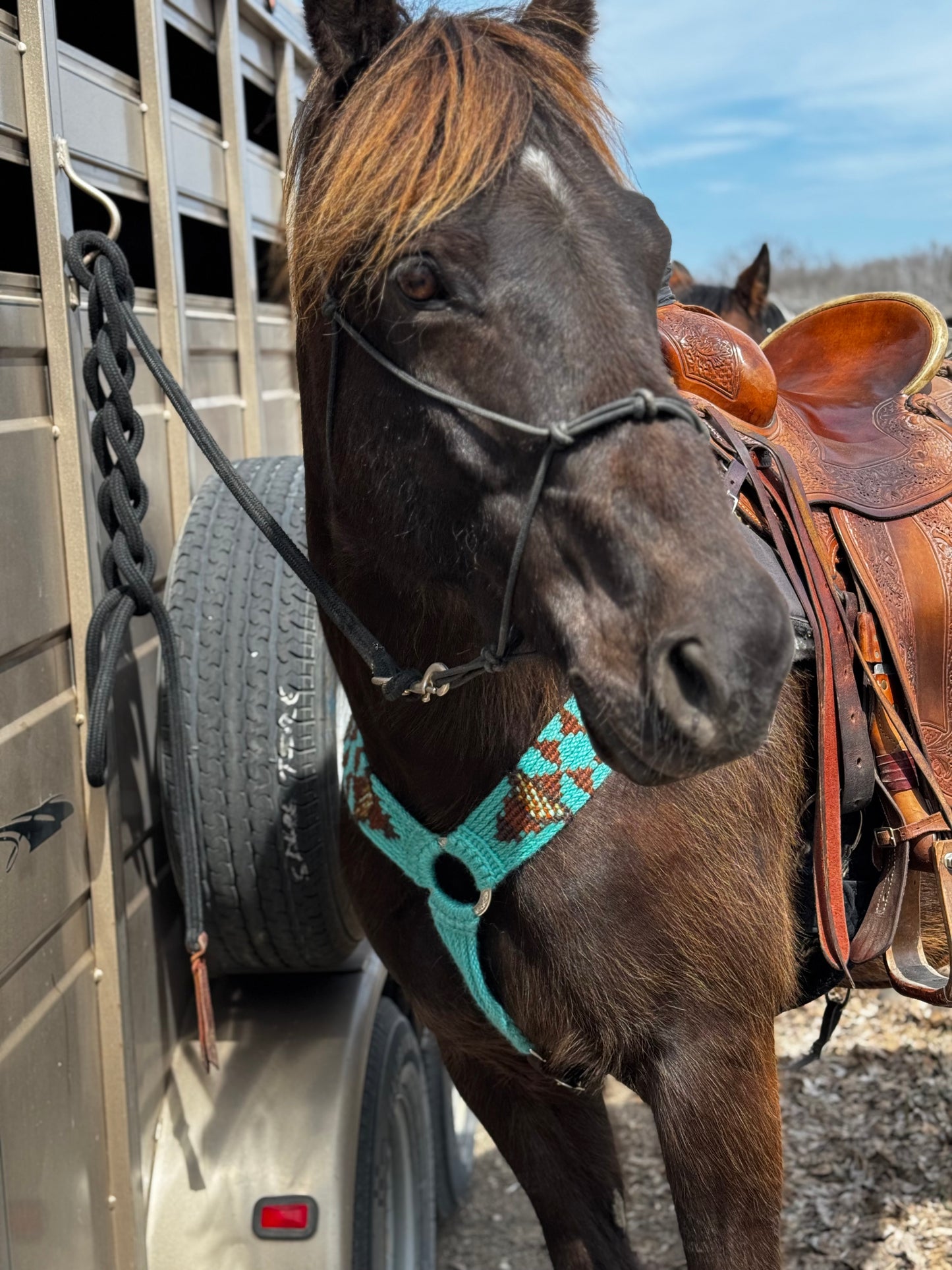 Turquoise Aztec Mohair Breast Collar