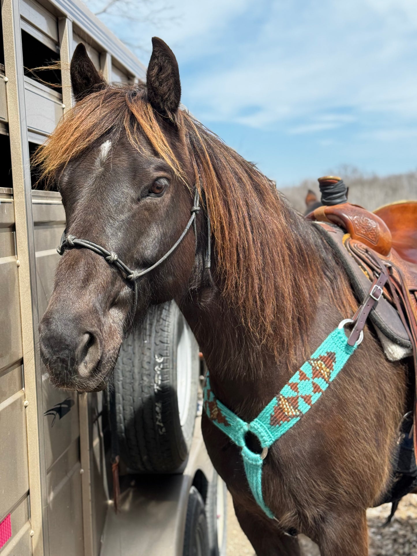 Turquoise Aztec Mohair Breast Collar