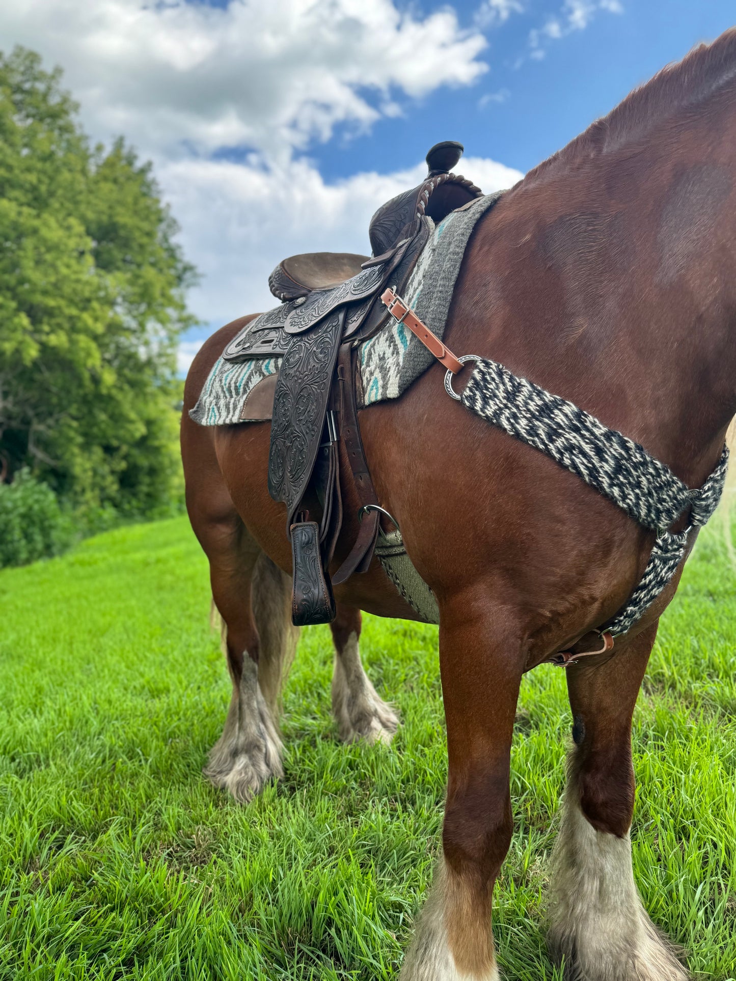 Woven Breast Collar
