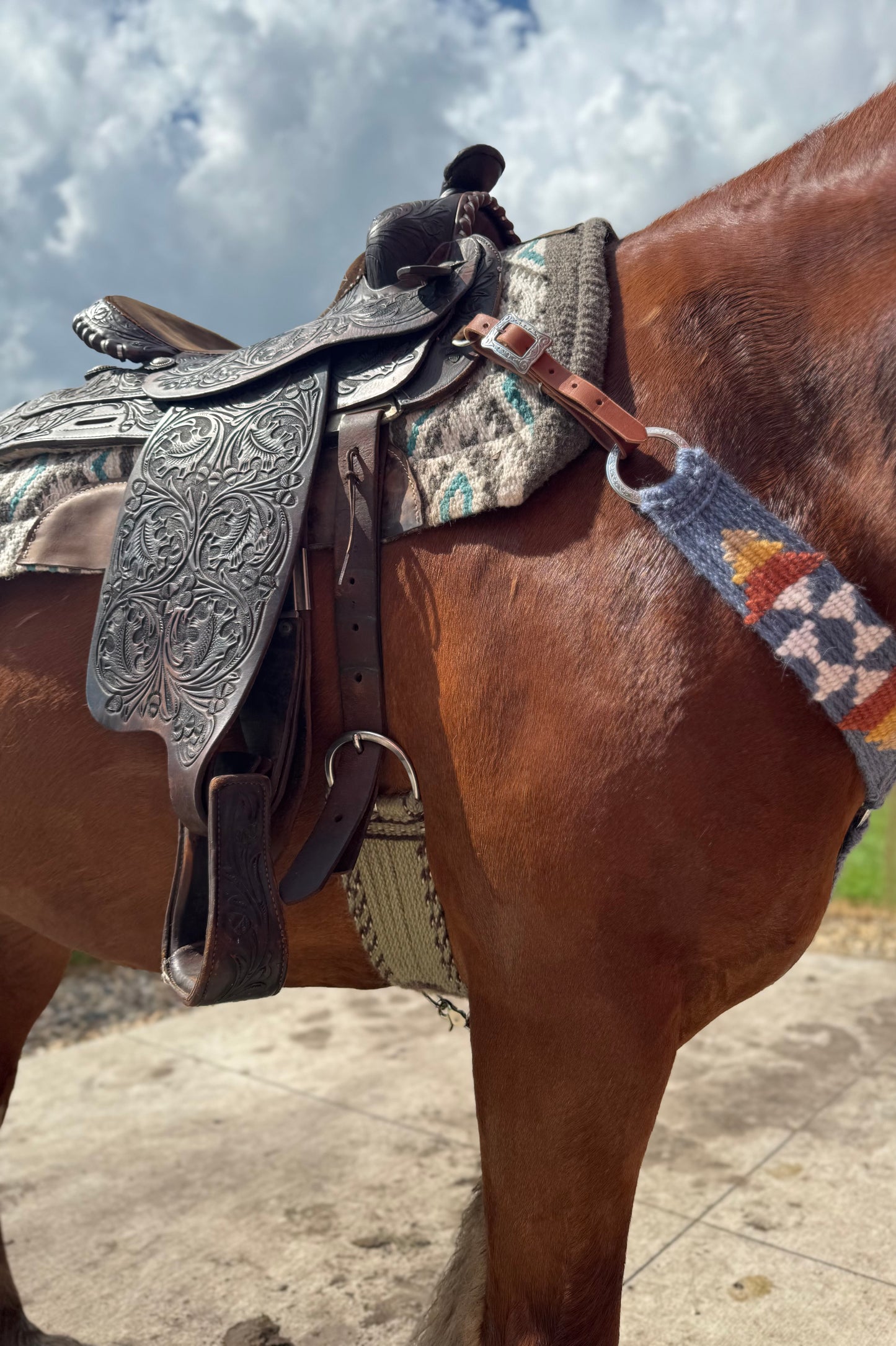 30" Sage Green Mohair Straight Cinch