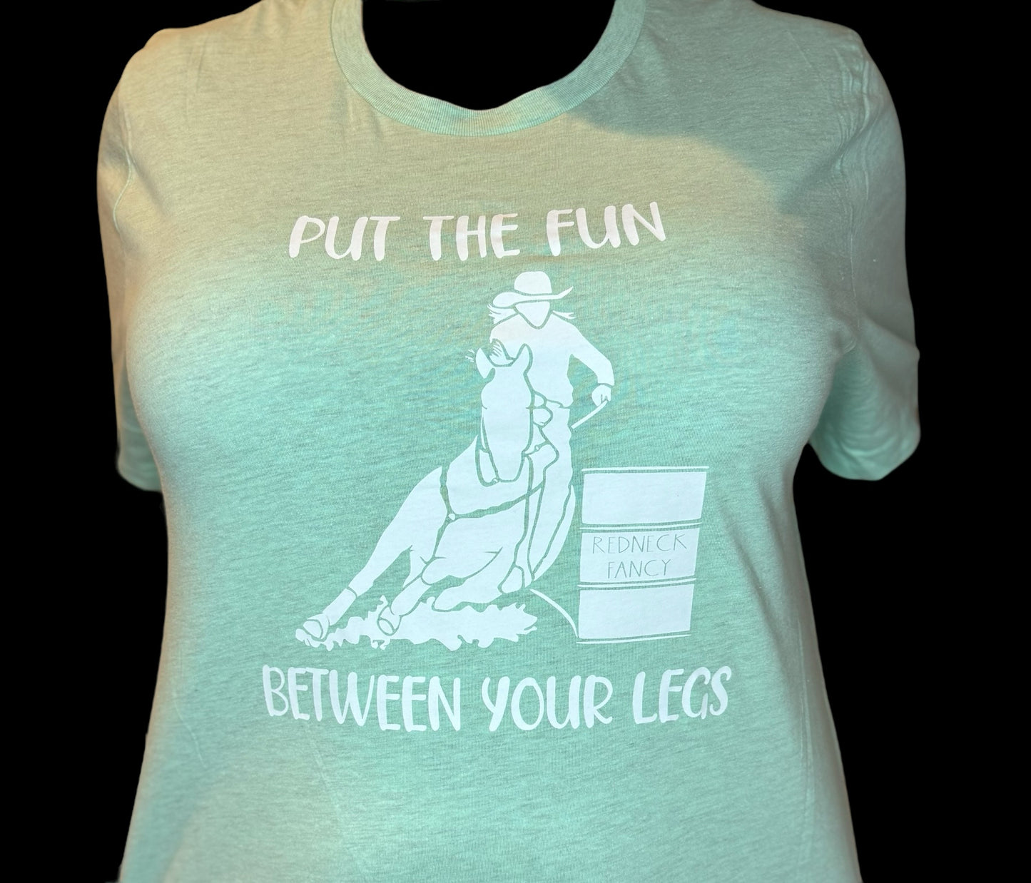 Put the Fun Between Your Legs T-shirt