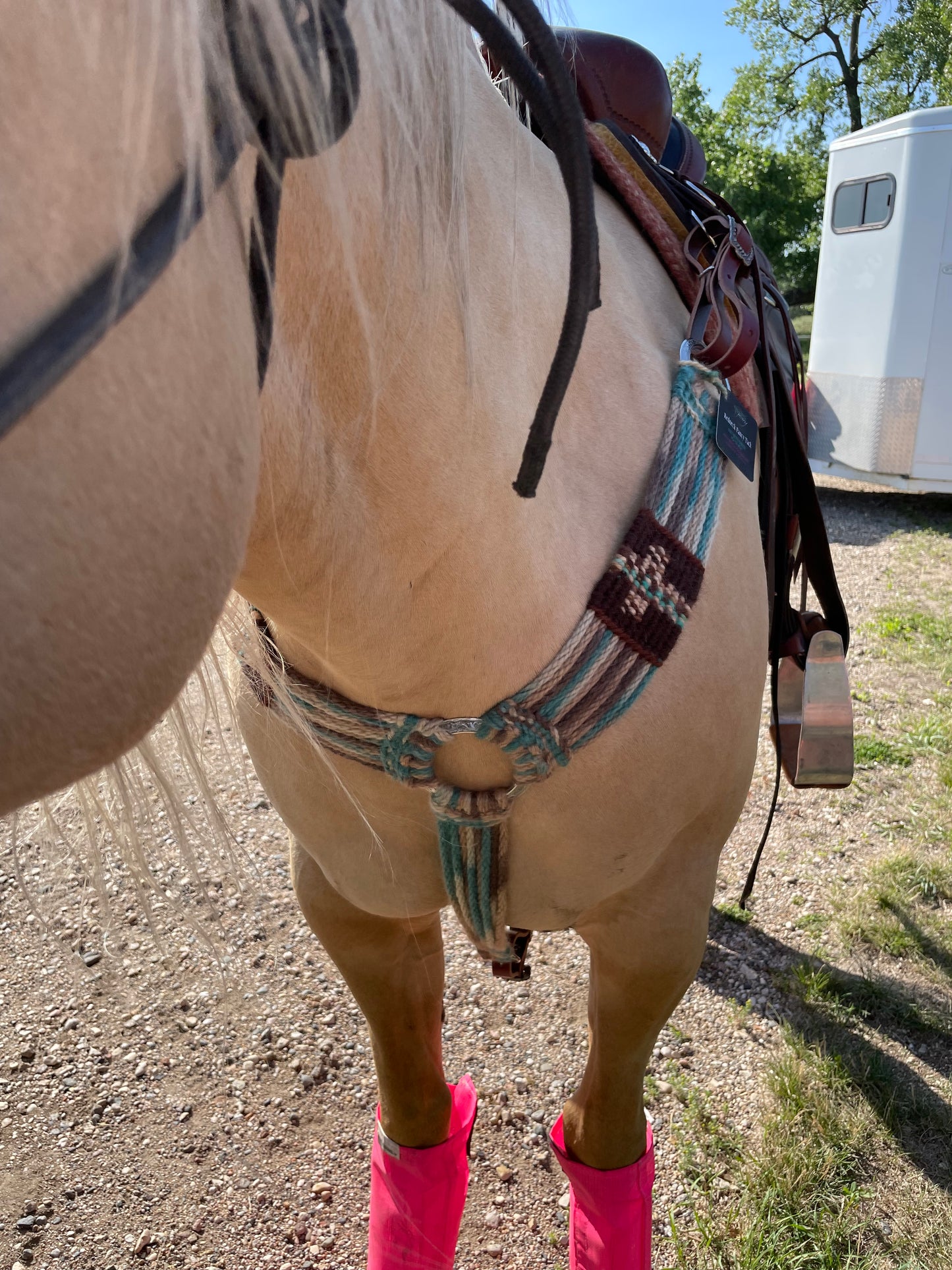 Arizona Dreaming Breast Collar - In Stock