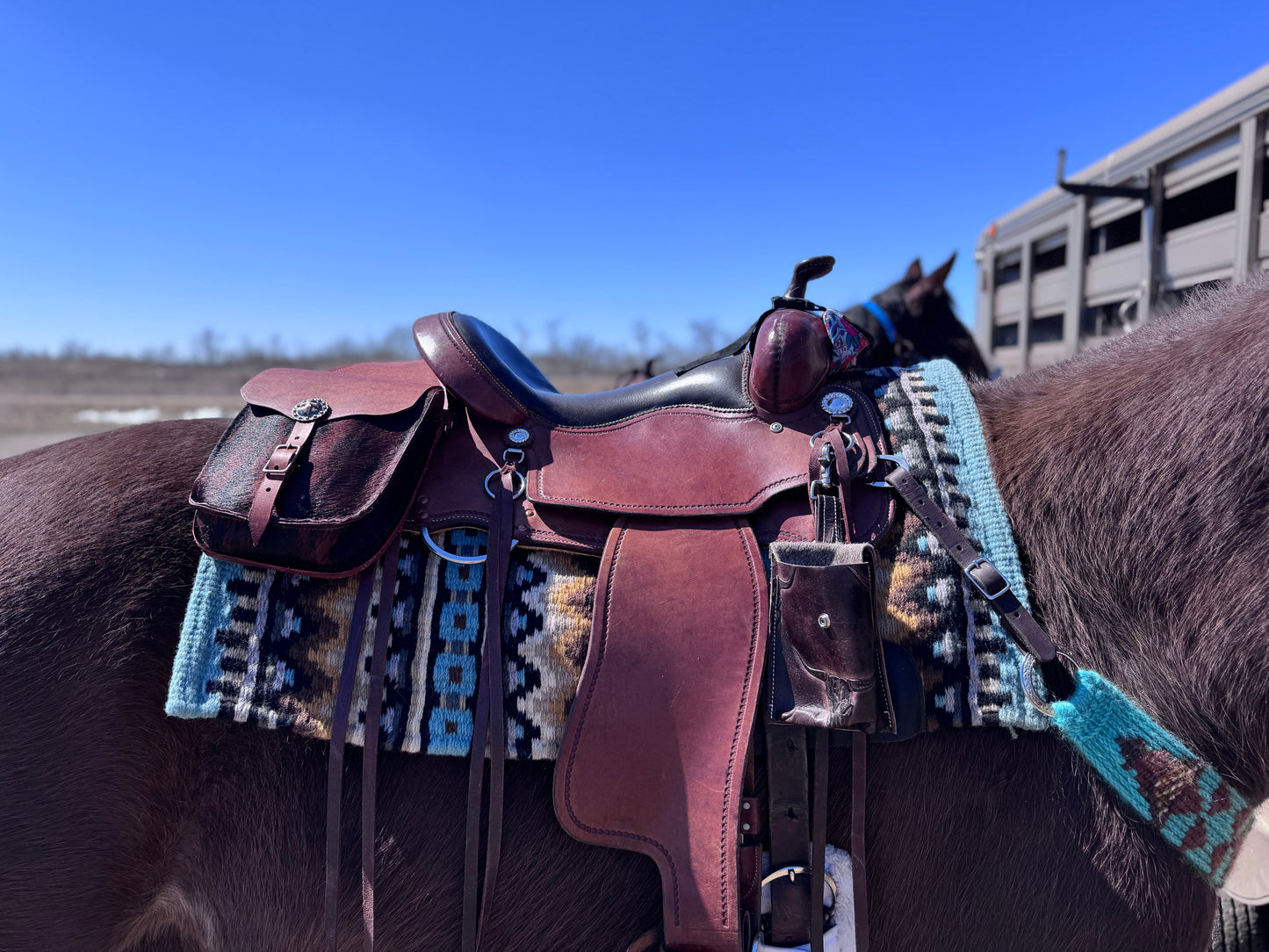 Custom Saddle Bags