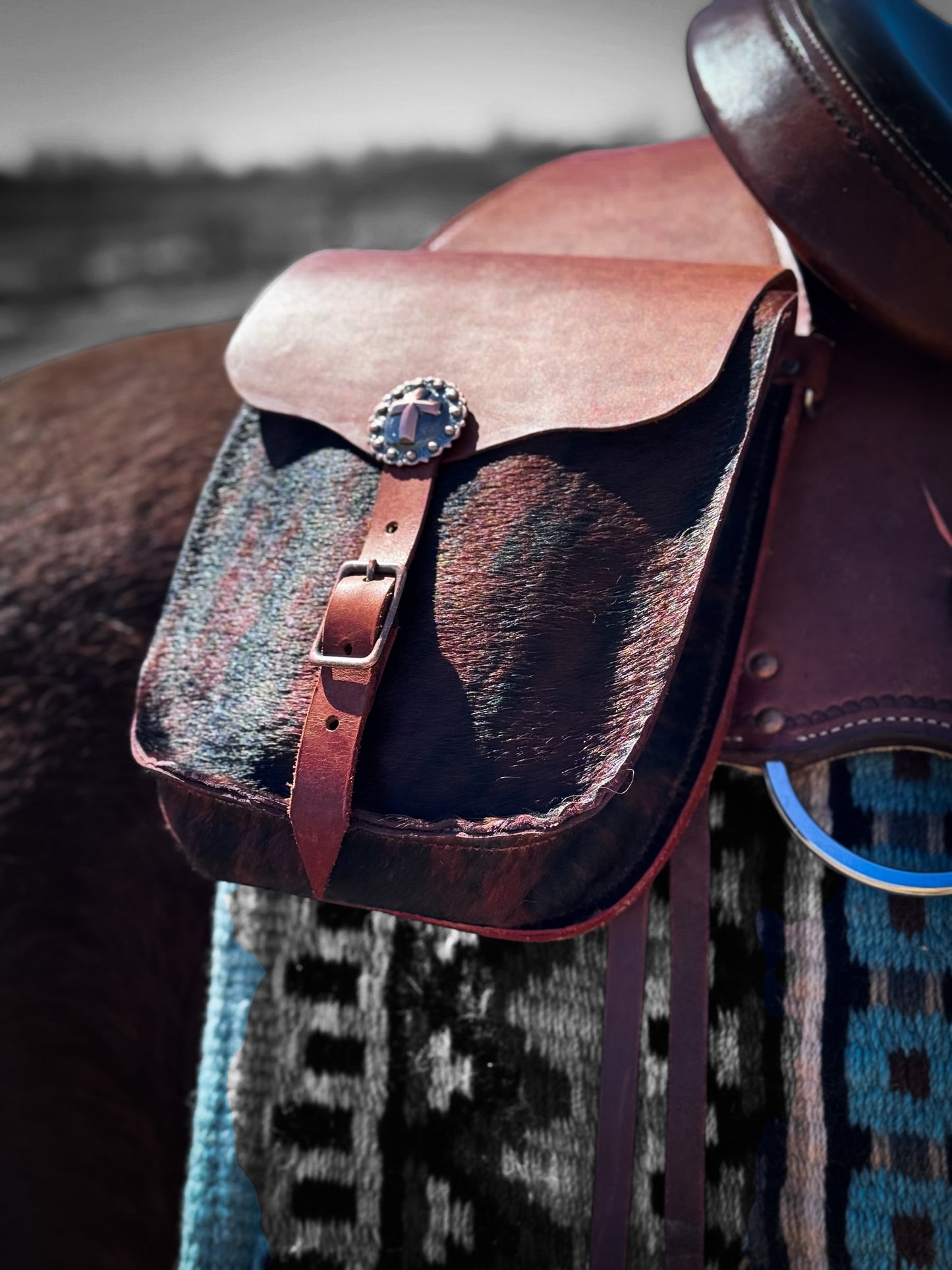 Custom Saddle Bags