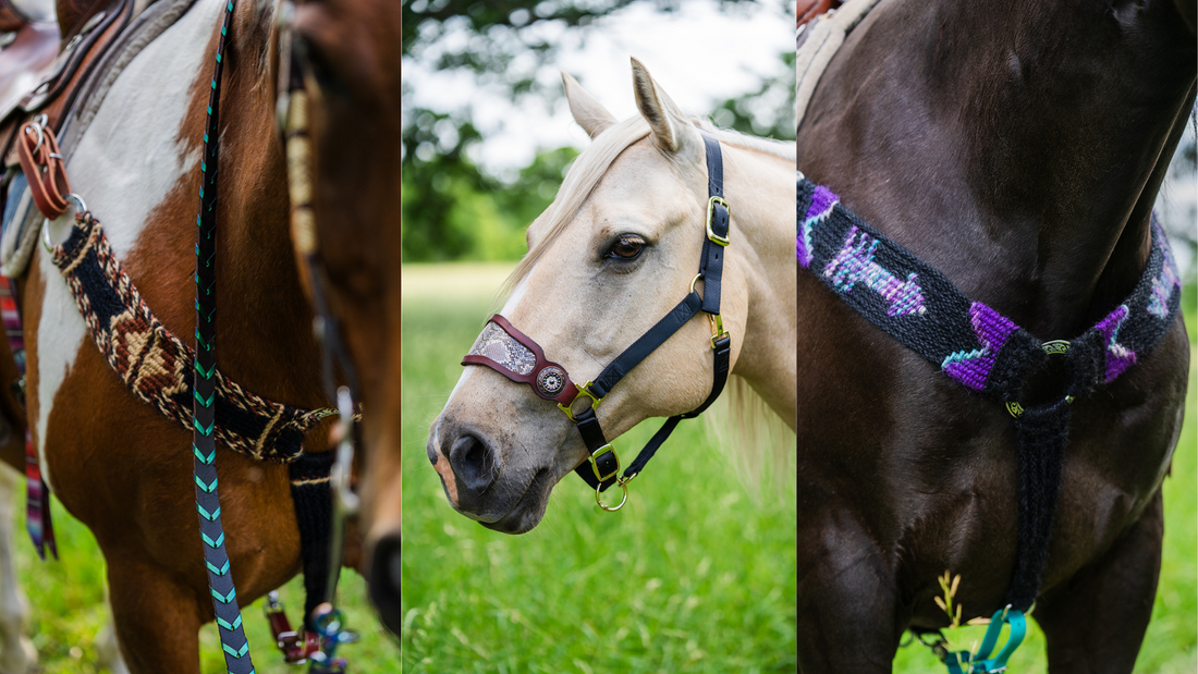 Events Tacks Classes and Events – Redneck Fancy Tack
