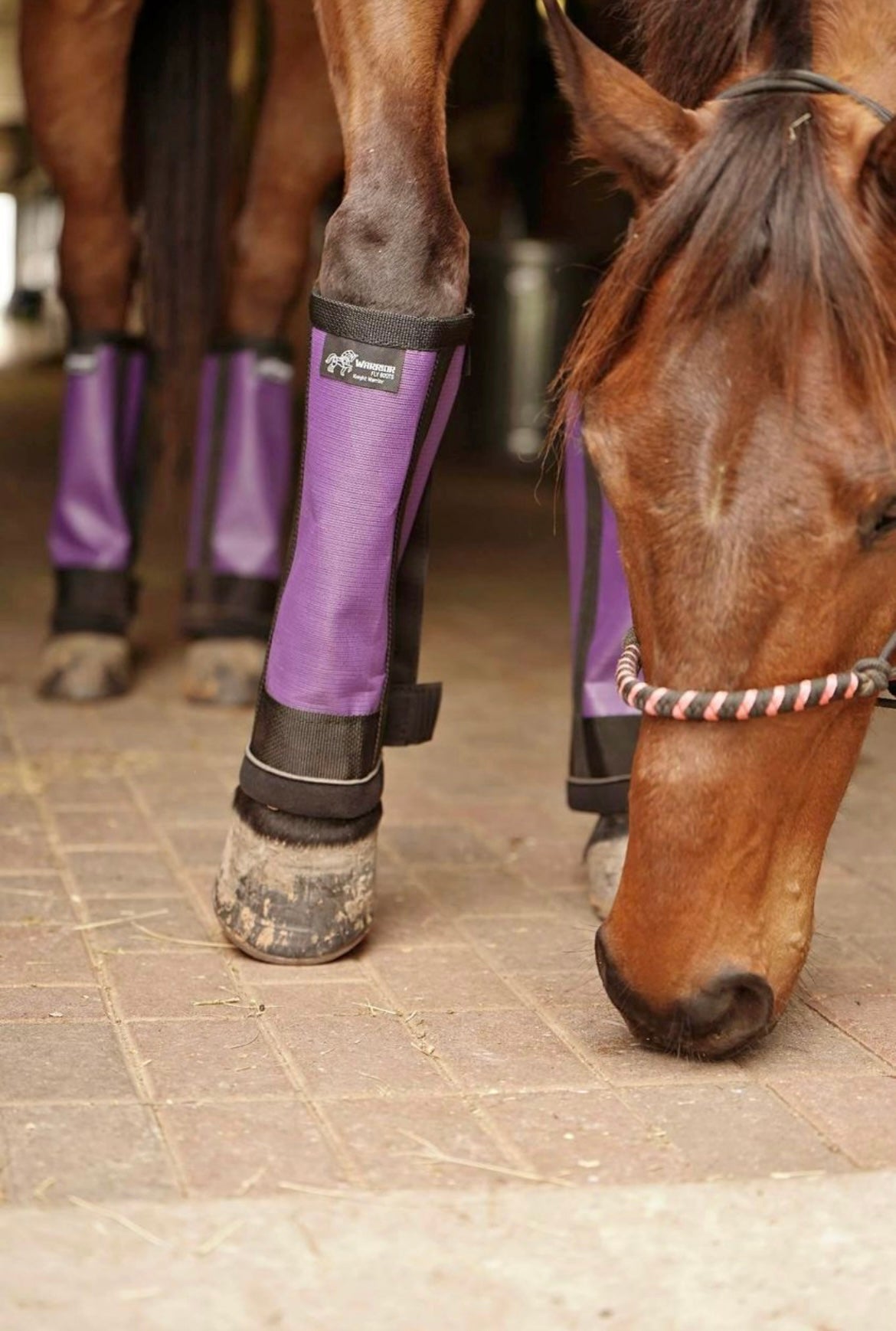 Warrior Fly boots - set of 4