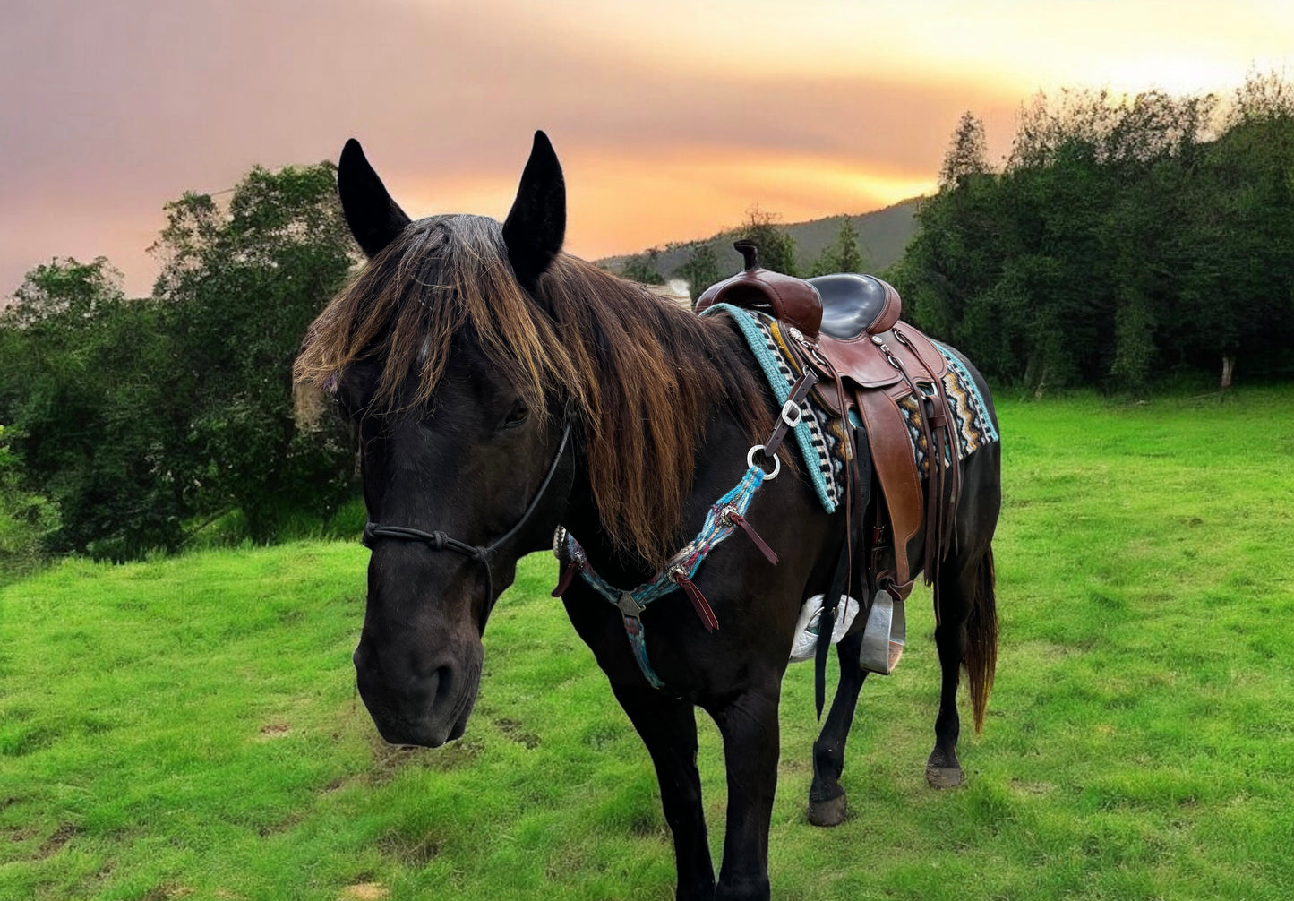 Sunrise Blush Mohair Breast Collar